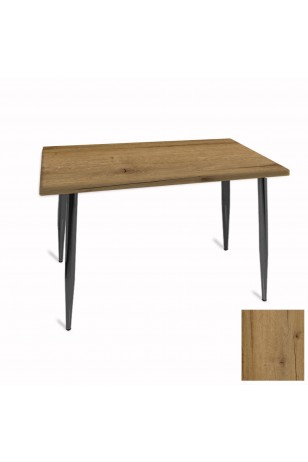 Manolya Mutfak Masası 70x120 ESB (Werzalit, Wermodin ve Allzalit Tabla)