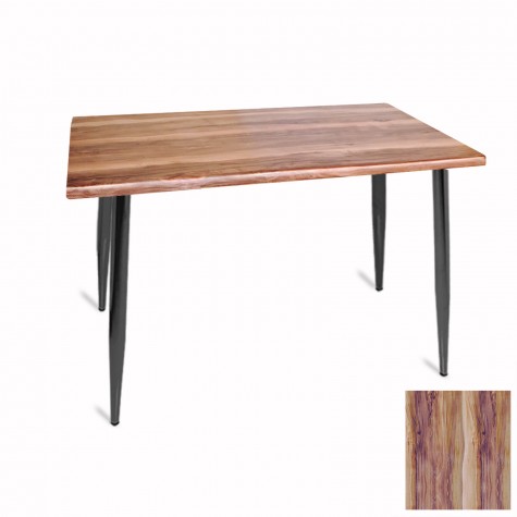 Manolya Mutfak Masası 70x120 ESB (Werzalit, Wermodin ve Allzalit Tabla)