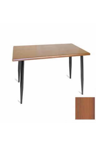 Manolya Mutfak Masası 70x120 ESB (Werzalit, Wermodin ve Allzalit Tabla)