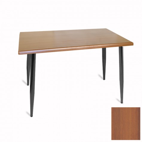 Manolya Mutfak Masası 70x120 ESB (Werzalit, Wermodin ve Allzalit Tabla)