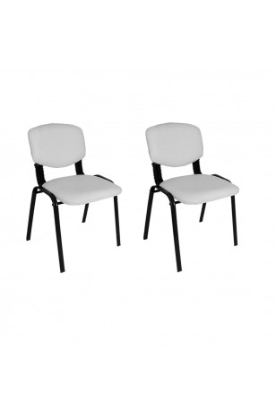Form Ofis ve Toplantı Sandalyesi (2 Adet)