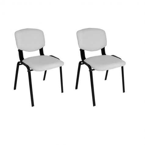 Form Ofis ve Toplantı Sandalyesi (2 Adet)